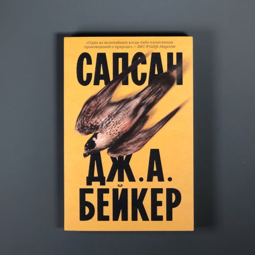 Издание 2025 года